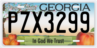 GA license plate PZX3299