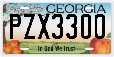 GA license plate PZX3300