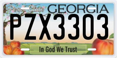 GA license plate PZX3303