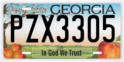 GA license plate PZX3305