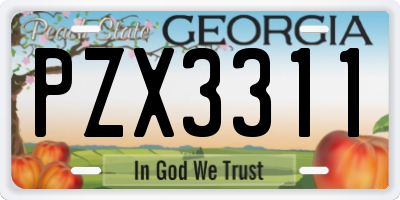 GA license plate PZX3311