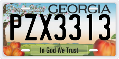 GA license plate PZX3313