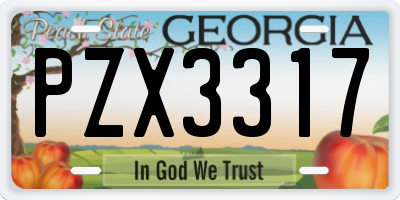 GA license plate PZX3317