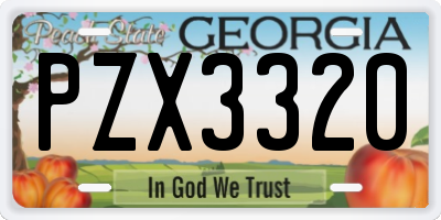 GA license plate PZX3320