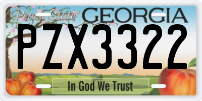 GA license plate PZX3322