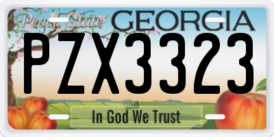 GA license plate PZX3323