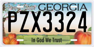 GA license plate PZX3324