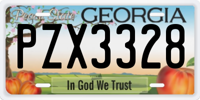 GA license plate PZX3328