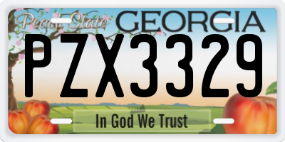 GA license plate PZX3329