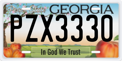 GA license plate PZX3330