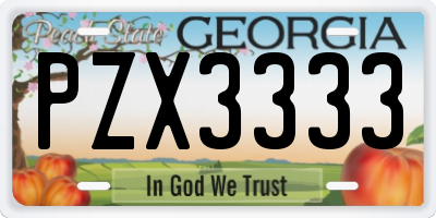 GA license plate PZX3333