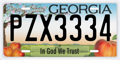 GA license plate PZX3334