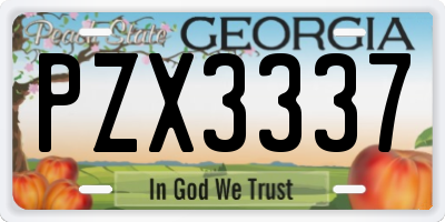 GA license plate PZX3337