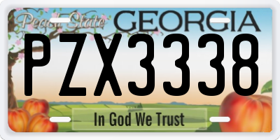 GA license plate PZX3338