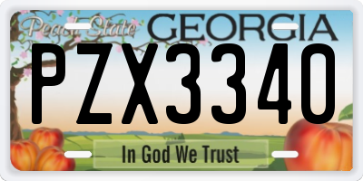 GA license plate PZX3340