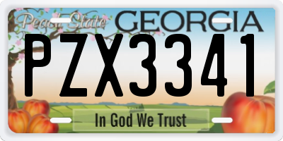 GA license plate PZX3341