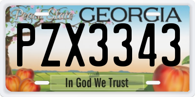 GA license plate PZX3343