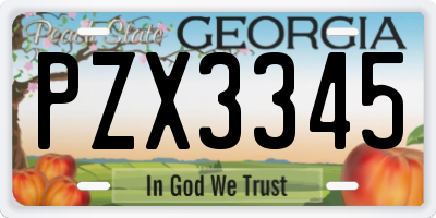 GA license plate PZX3345