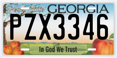 GA license plate PZX3346
