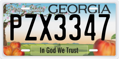 GA license plate PZX3347