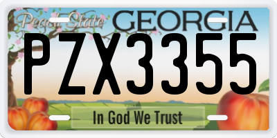 GA license plate PZX3355
