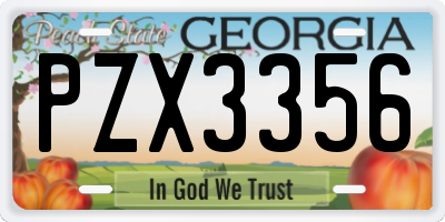 GA license plate PZX3356