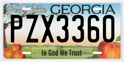 GA license plate PZX3360