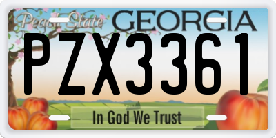 GA license plate PZX3361