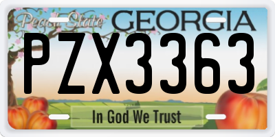 GA license plate PZX3363