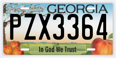 GA license plate PZX3364