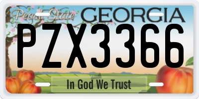 GA license plate PZX3366