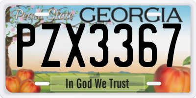 GA license plate PZX3367