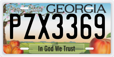 GA license plate PZX3369