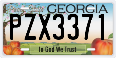 GA license plate PZX3371