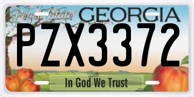 GA license plate PZX3372