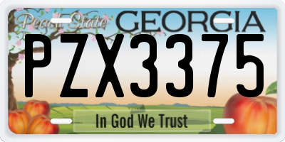 GA license plate PZX3375