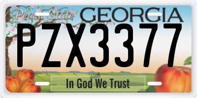 GA license plate PZX3377