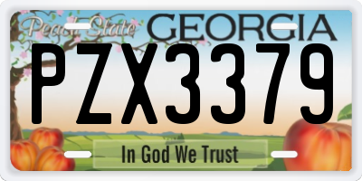 GA license plate PZX3379