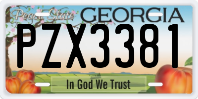 GA license plate PZX3381