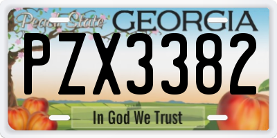 GA license plate PZX3382