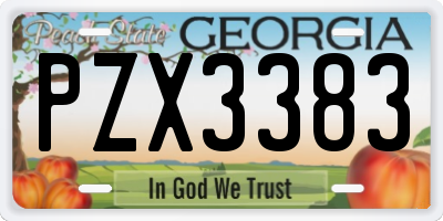 GA license plate PZX3383