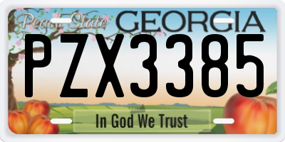 GA license plate PZX3385