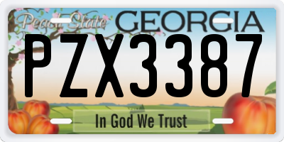 GA license plate PZX3387
