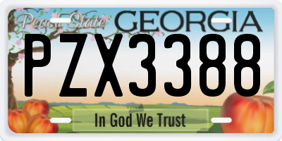 GA license plate PZX3388