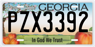 GA license plate PZX3392