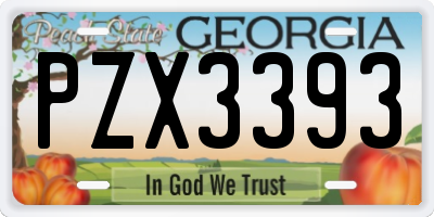 GA license plate PZX3393