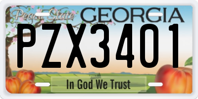 GA license plate PZX3401