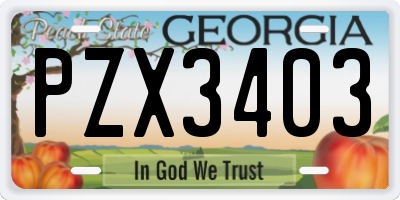 GA license plate PZX3403