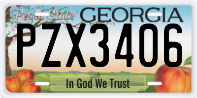 GA license plate PZX3406