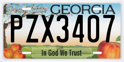 GA license plate PZX3407
